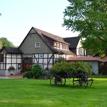 Haus Berkenkamp Hotel Lage  Kültér fotó
